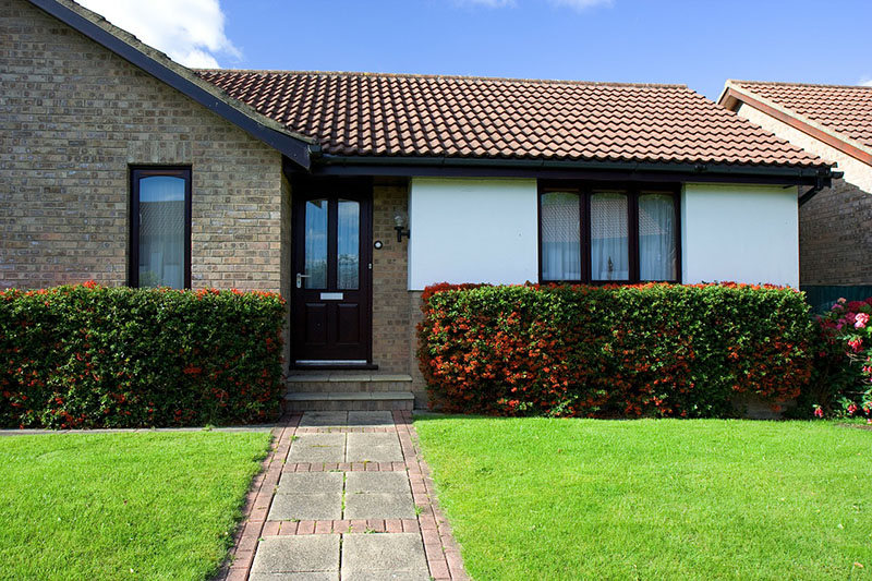 Lawn Rehabilitation