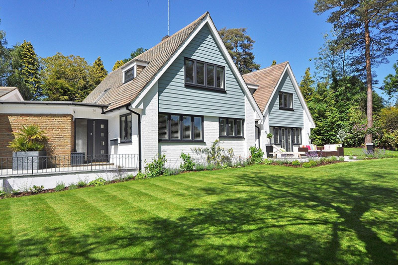 Organic Lawn Care