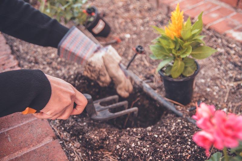 Landscaping vs Gardening