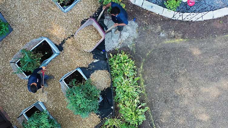 Misconceptions About Landscaping