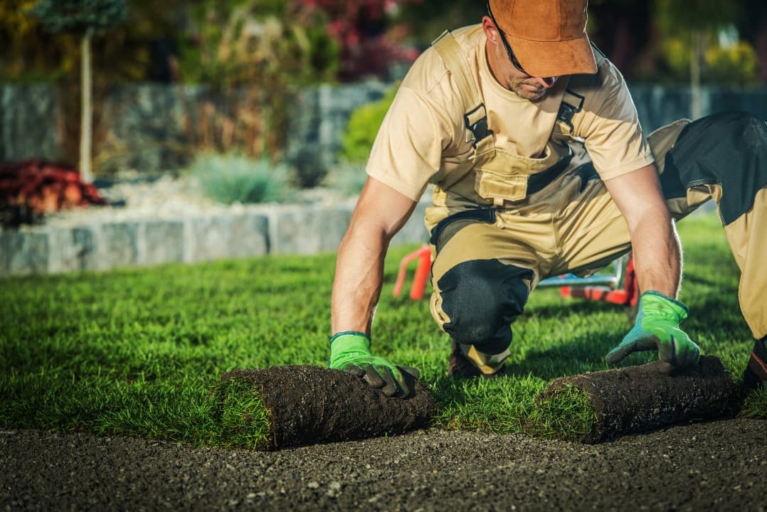 A person taking care of the landscaping using low maintenance ideas