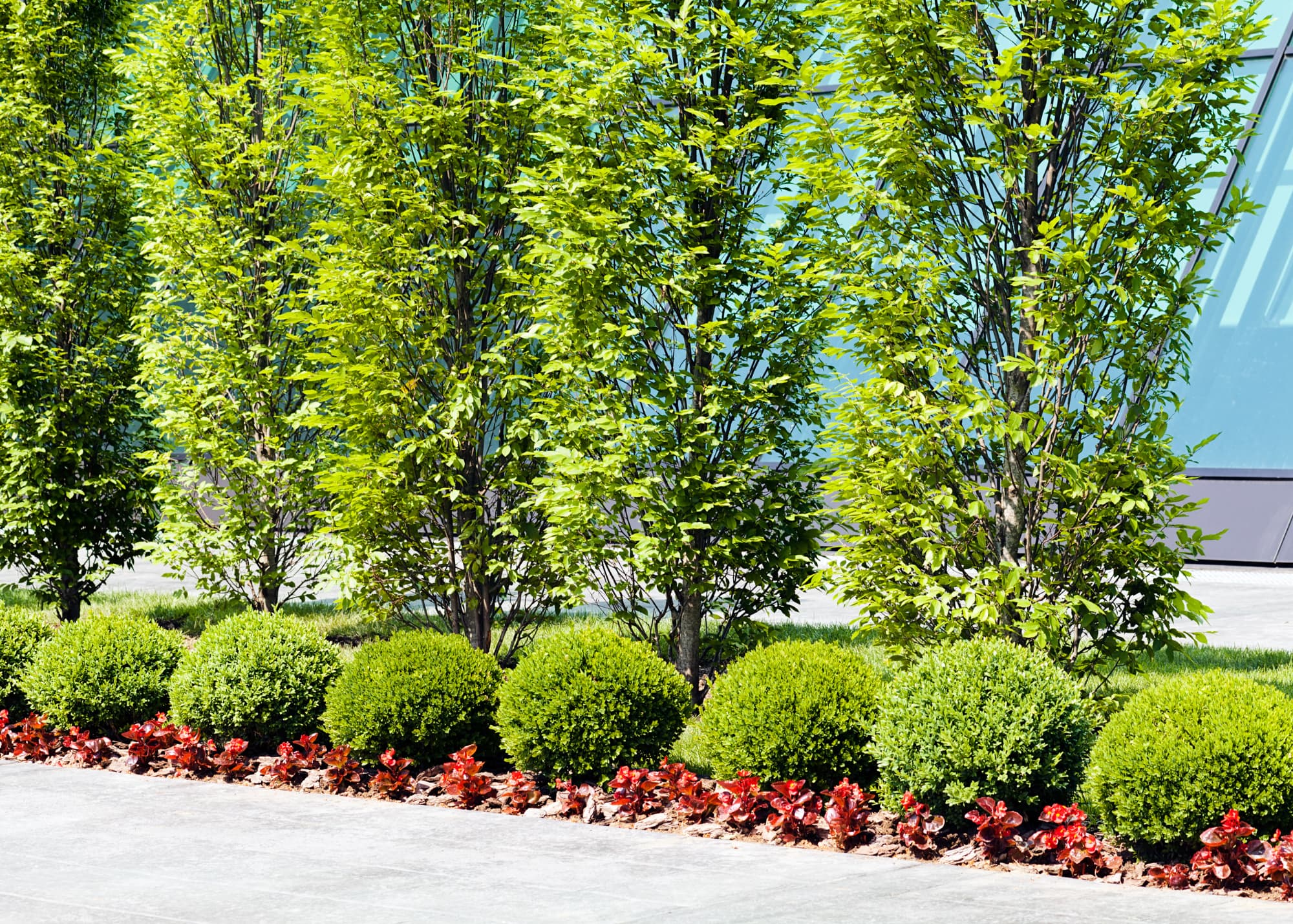 Landscape surrounding commercial buildings